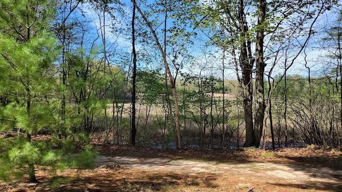 The Woodland Shores RV Resort Picture 4