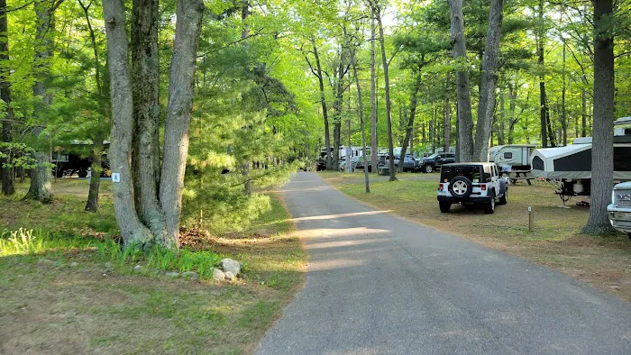 The Woodland Shores RV Resort Picture 10