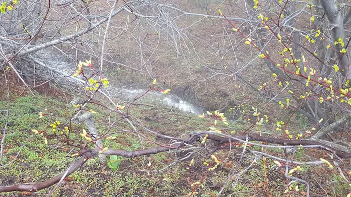Lower Lava Mountain Trailhead Picture 9