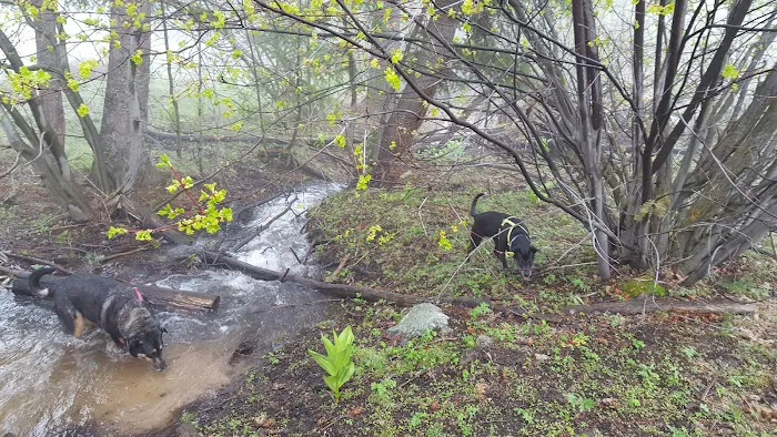 Lower Lava Mountain Trailhead Picture 5