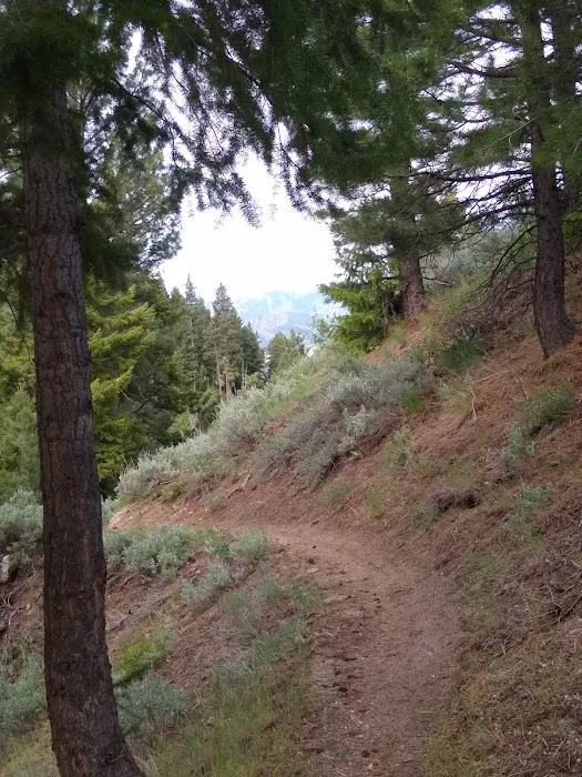 Lower Lava Mountain Trailhead Picture 3