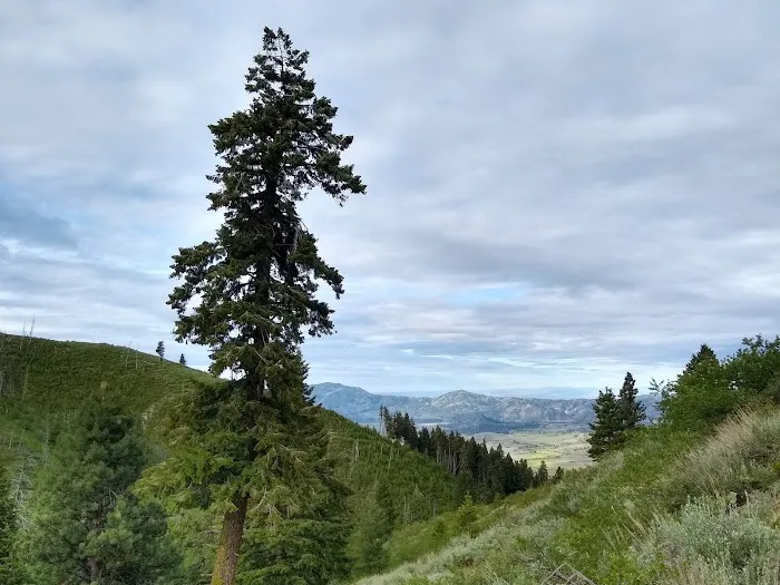 Lower Lava Mountain Trailhead Picture 6