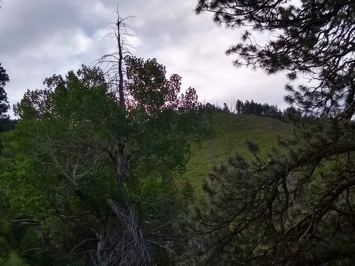 Lower Lava Mountain Trailhead Picture 7