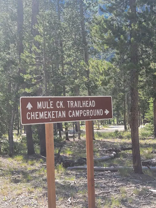 Chemeketan Campground Picture 10