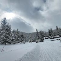 Central Idaho 4-H Camp ico