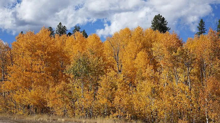 Prairie Campground Picture 7