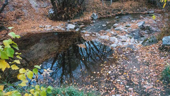 Cottonwood Campground Picture 3