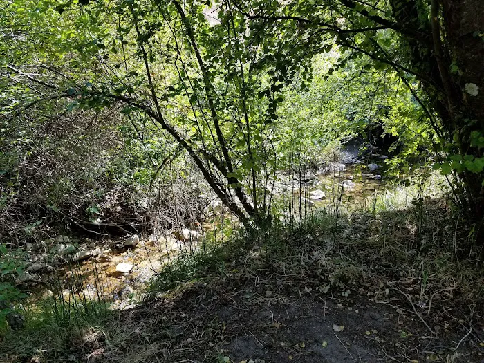Cottonwood Campground Picture 10