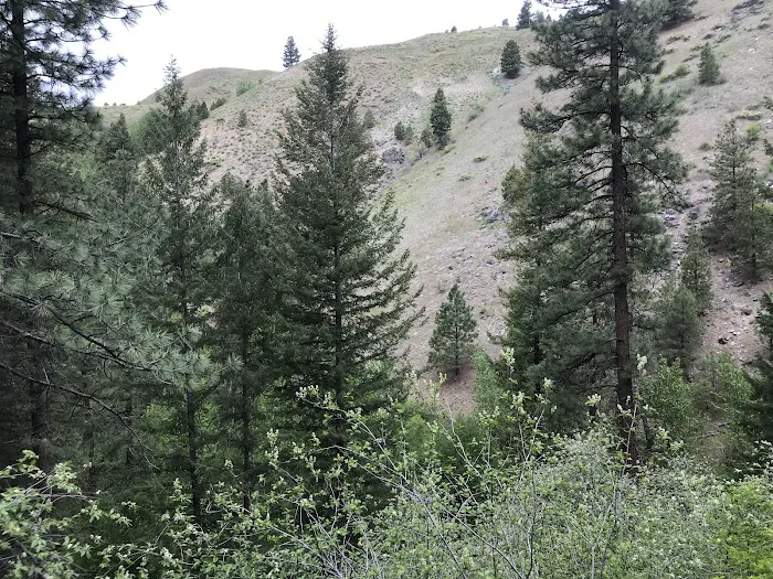 Cottonwood Campground Picture 6