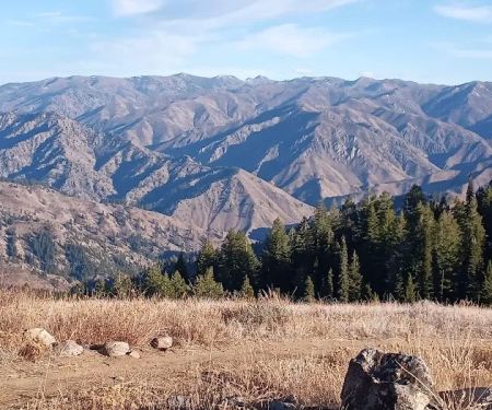 Irish Point Dispersed Campground