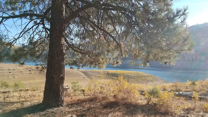 Irish Point Dispersed Campground Picture 6