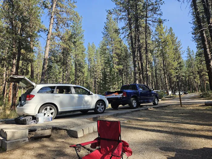 Grayback Gulch Campground Picture 8