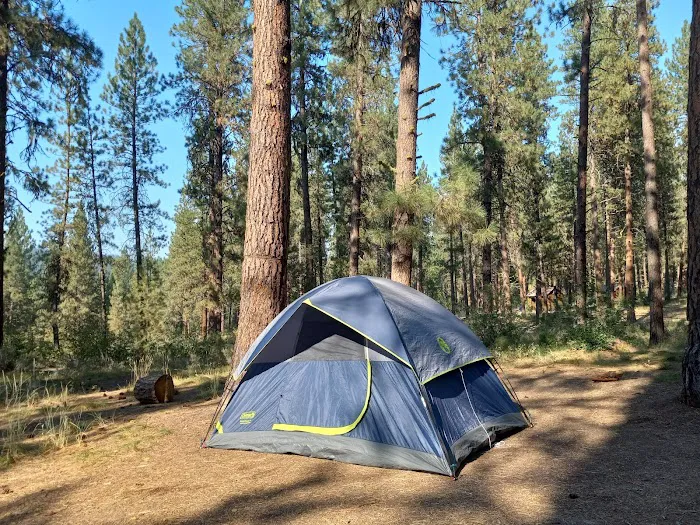 Grayback Gulch Campground Picture 4