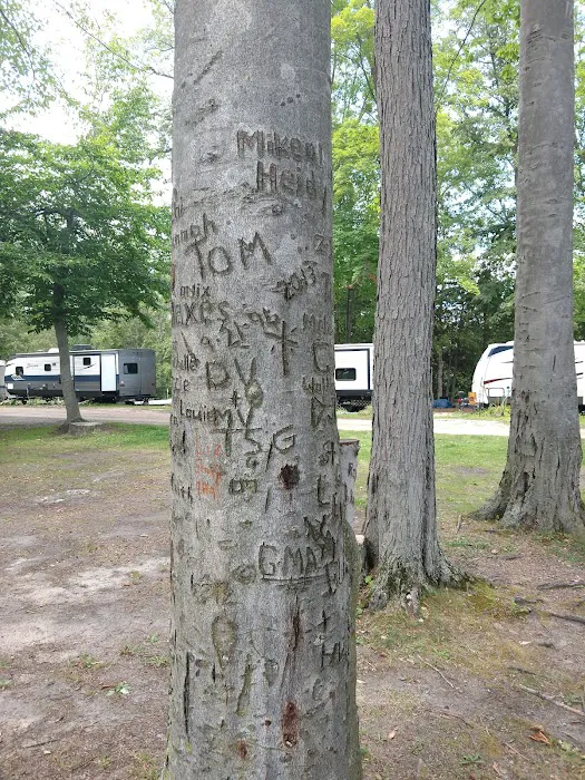 River Valley RV Park Picture 10