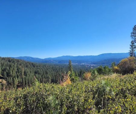 Pinetop Recreation Camp