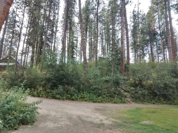Pinetop Recreation Camp Picture 3