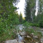 Creekside Campground Idaho City