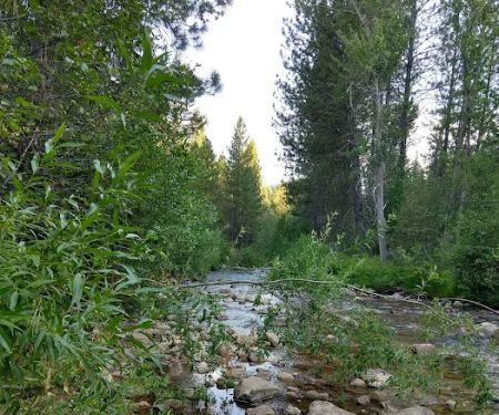Creekside Campground Idaho City