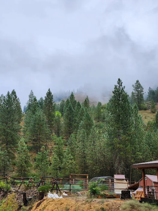 Creekside Campground Idaho City Picture 9