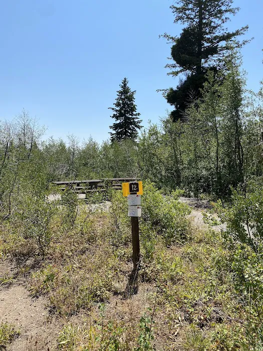 Shafer Butte Campground Picture 9