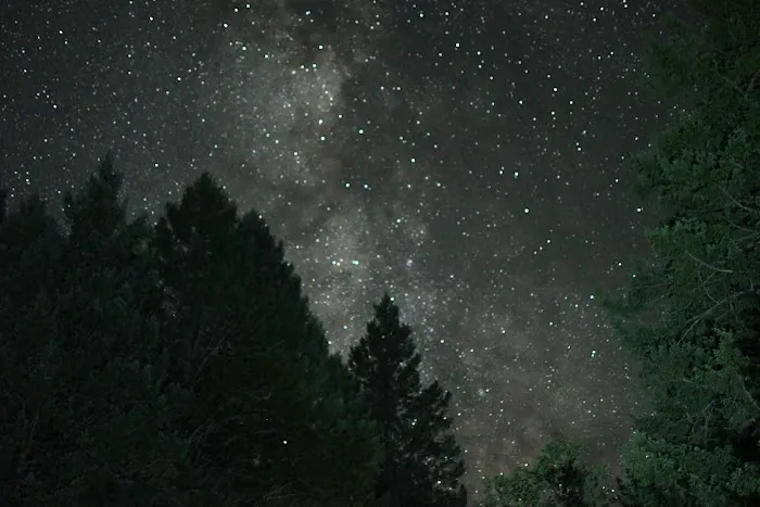 Boy Scout Cove Camp Picture 2