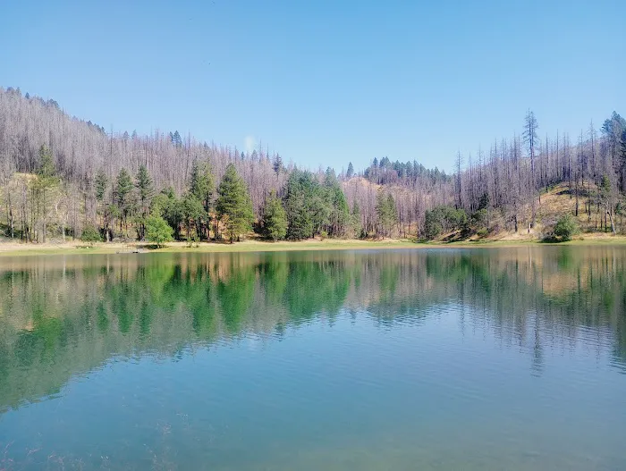 Boy Scout Cove Camp Picture 3