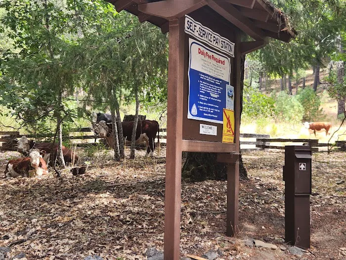 MAD RIVER CAMPGROUND Picture 2