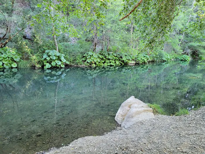 MAD RIVER CAMPGROUND Picture 7