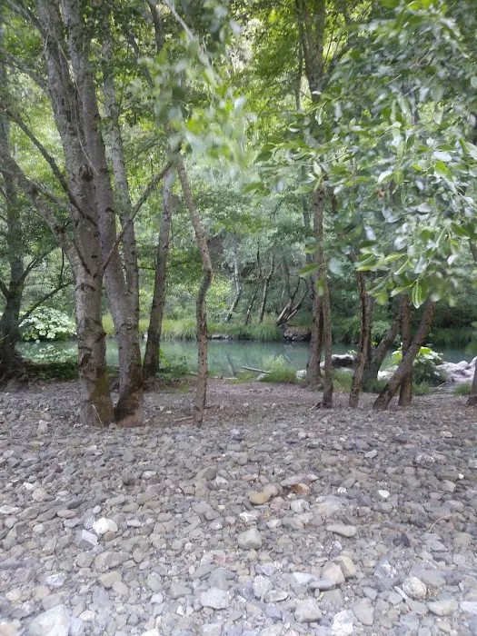 MAD RIVER CAMPGROUND Picture 8