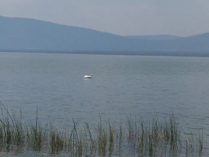 Eagle Lake Picture 9