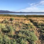 Aspen Grove Campground