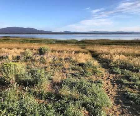 Aspen Grove Campground