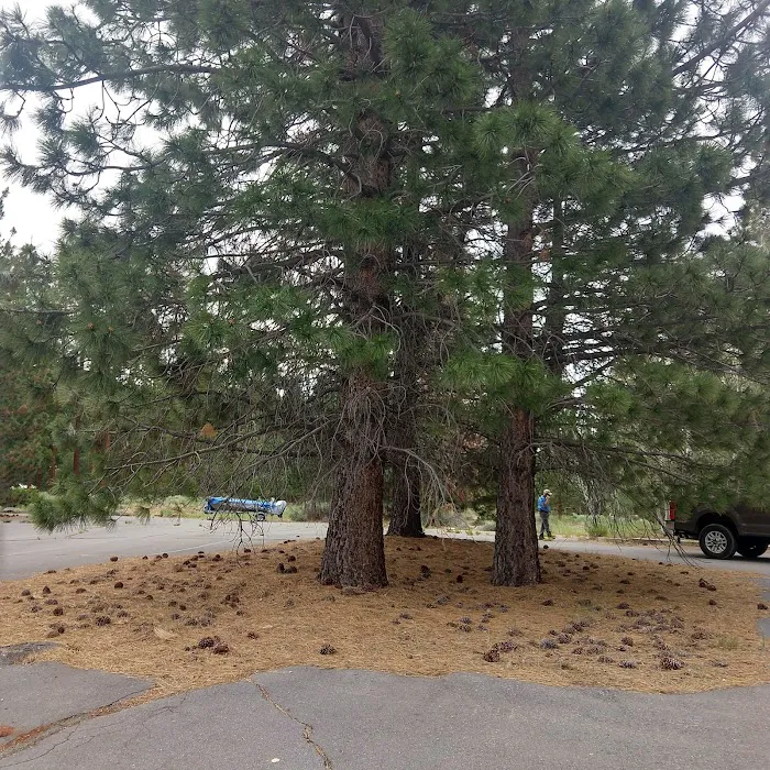 Aspen Grove Campground Picture 6