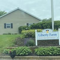 Liberty Farm ico