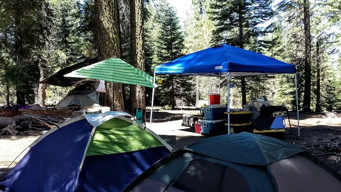 Almanor Campgrounds Picture 9