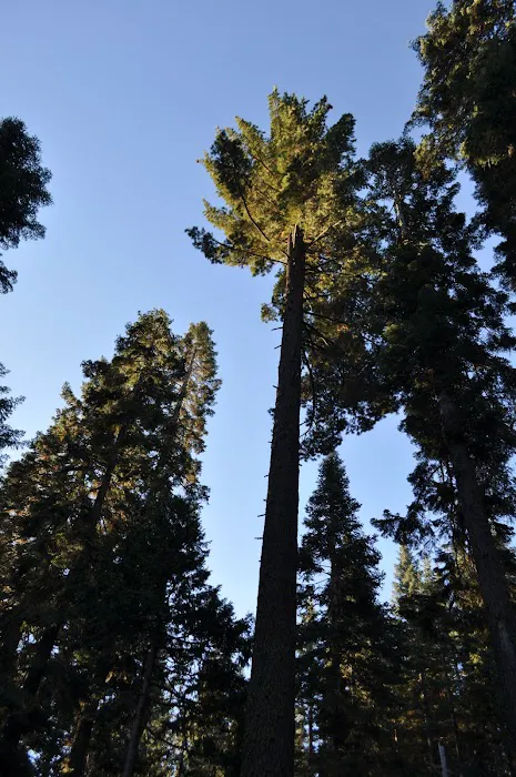 PSEA, Camp Almanor PRIVATE CAMP Picture 5