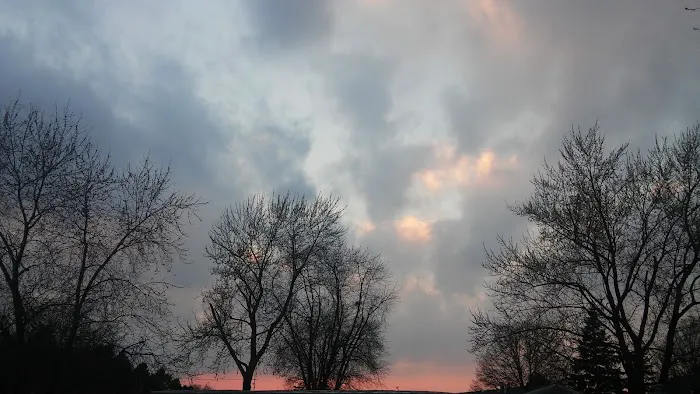 Williamsburg Manor Manufactured Home Community Picture 3