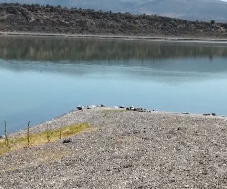 Eagle Lake - Rocky Point East