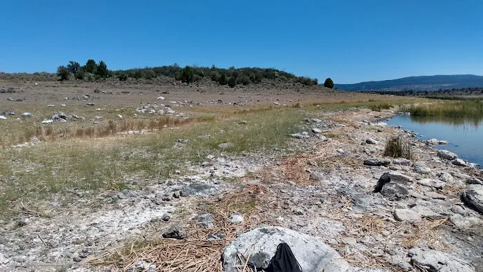 Eagle Lake - Rocky Point East Picture 7