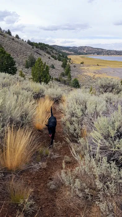 Eagle Lake - Rocky Point East Picture 10