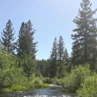 Goumaz Campground/Biz Johnson Trail ico