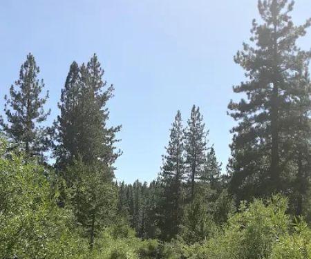 Goumaz Campground/Biz Johnson Trail