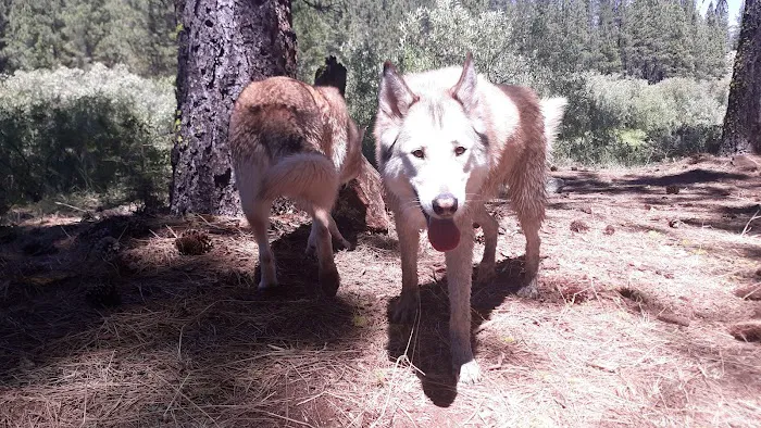 Goumaz Campground Picture 3