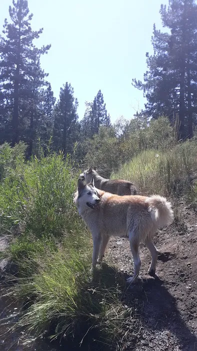 Goumaz Campground Picture 5