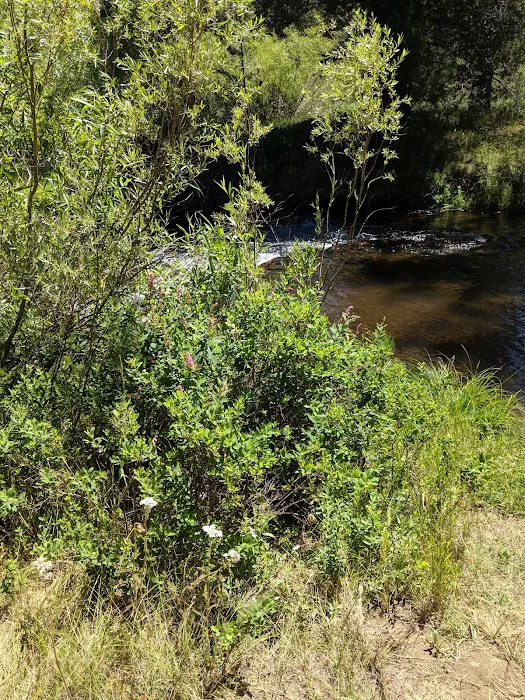 Goumaz Campground Picture 8