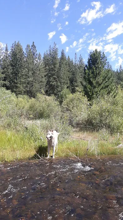 Goumaz Campground Picture 10