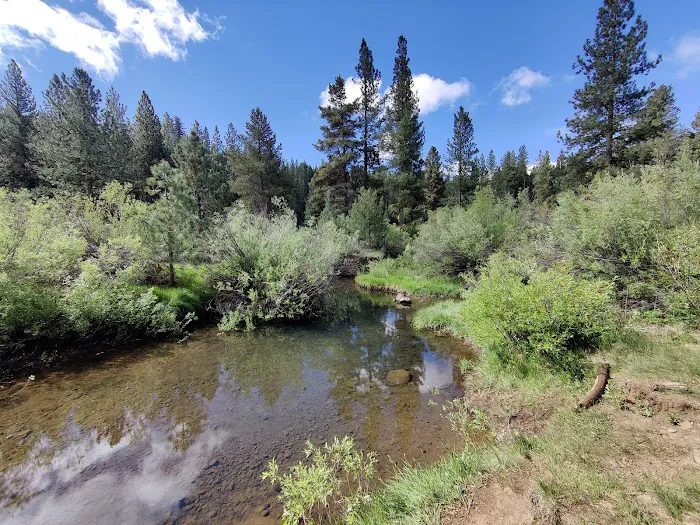 Goumaz Campground Picture 7