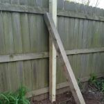 Starlite Trailer Park