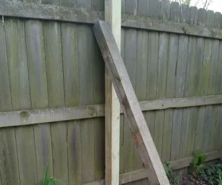 Starlite Trailer Park