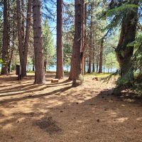 Ponderosa Flat Campground ico